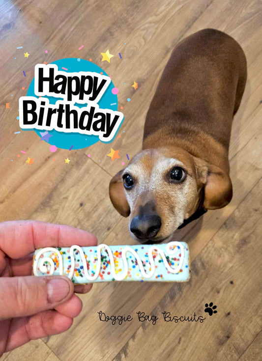 “Paw-some Party" Gift Set Certified Lookie-a-Tookie™ Canine Cookies, Birthday Dog Treats 🎈🍰🐾🥳