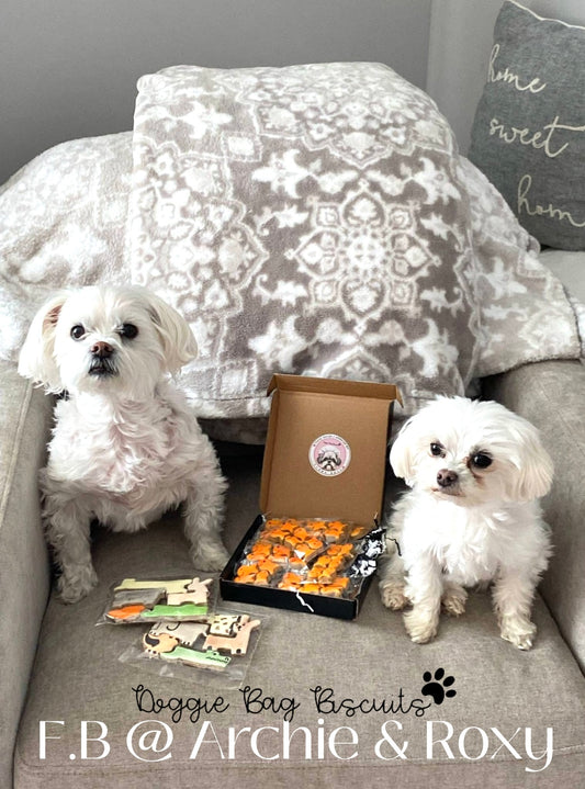 “Noah’s Bark Puzzle" Gift Set Certified Lookie-a-Tookie™ Canine Cookies, Ark Dog Treats🦒🐘🦜🌧️