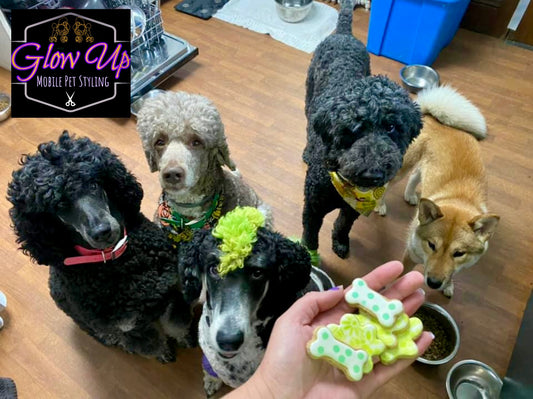 “Paws & Petals" Gift Set Certified Lookie-a-Tookie™ Canine Cookies, Spring Dog Treats🌸🐾🌼