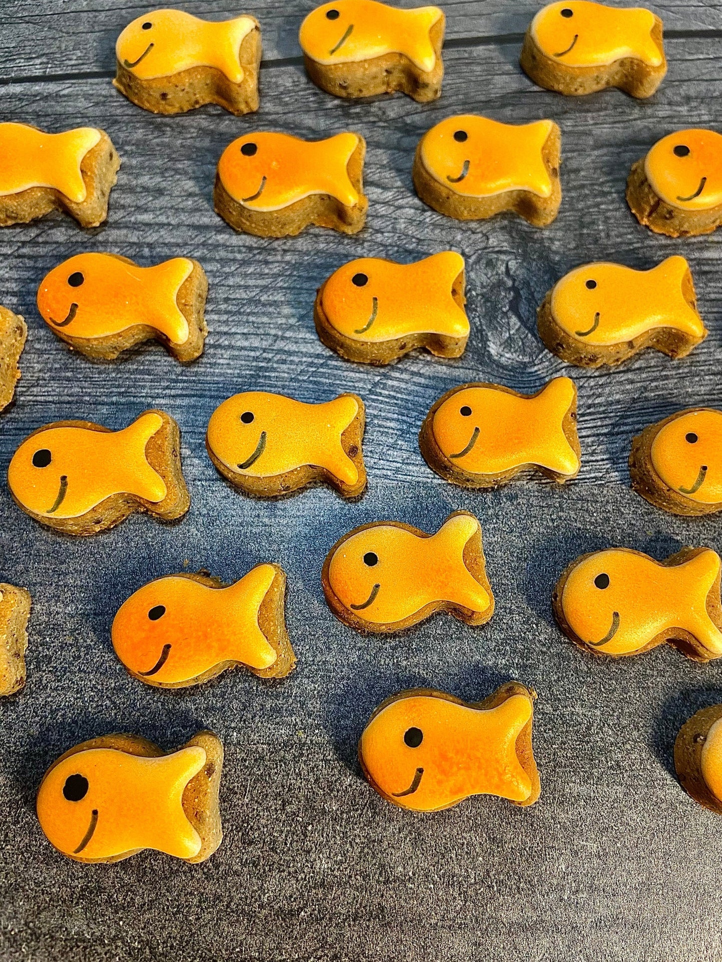 Go Fish Canine Cookie Gift Set🧡🐟