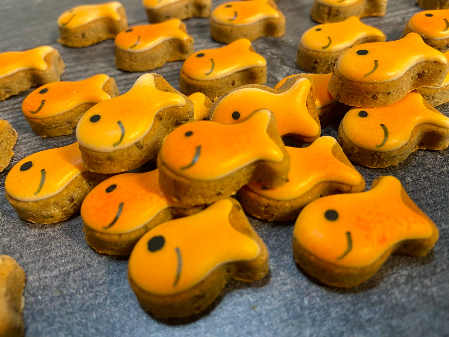 Go Fish Canine Cookie Gift Set🧡🐟