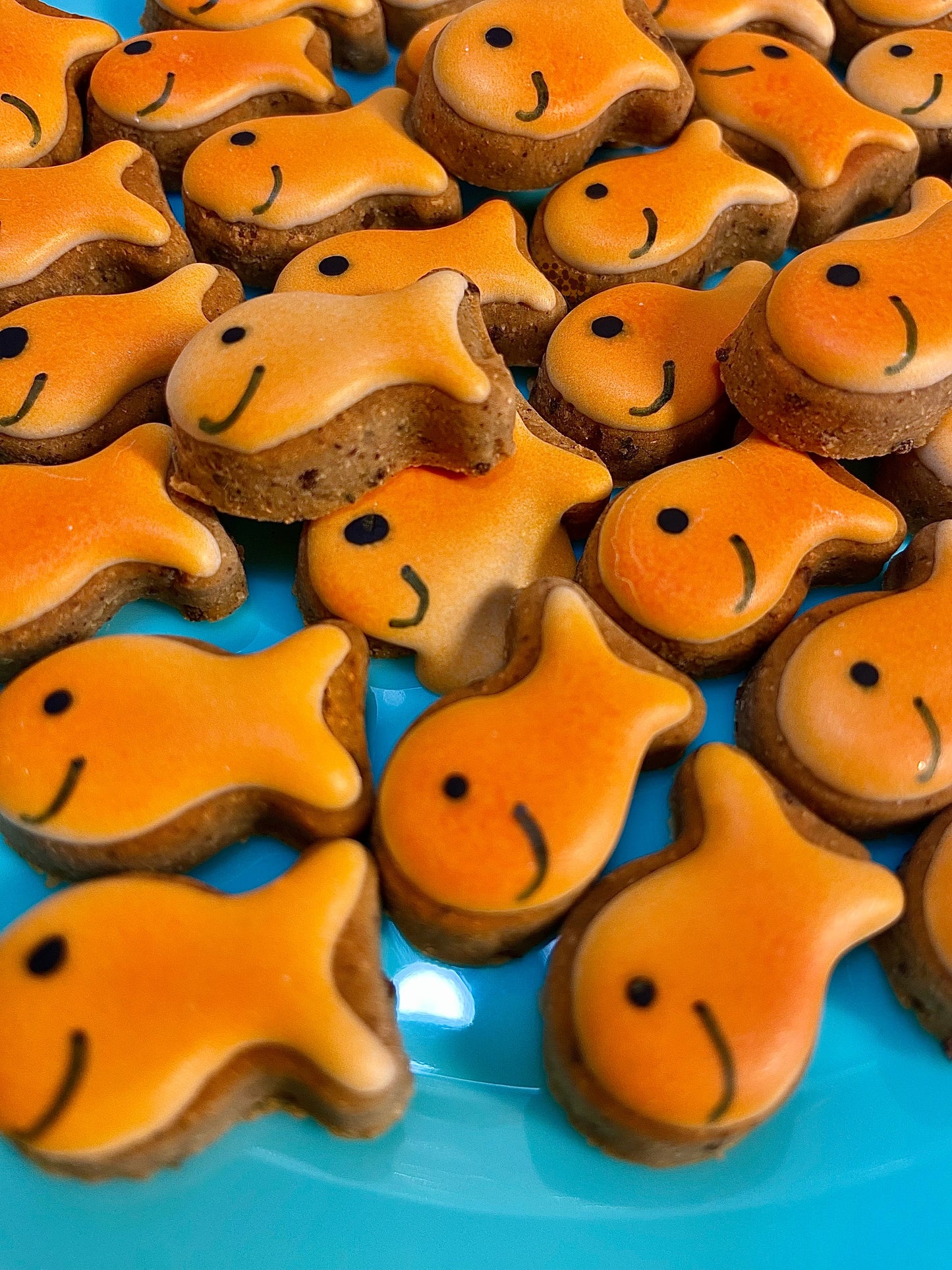 Go Fish Canine Cookie Gift Set🧡🐟
