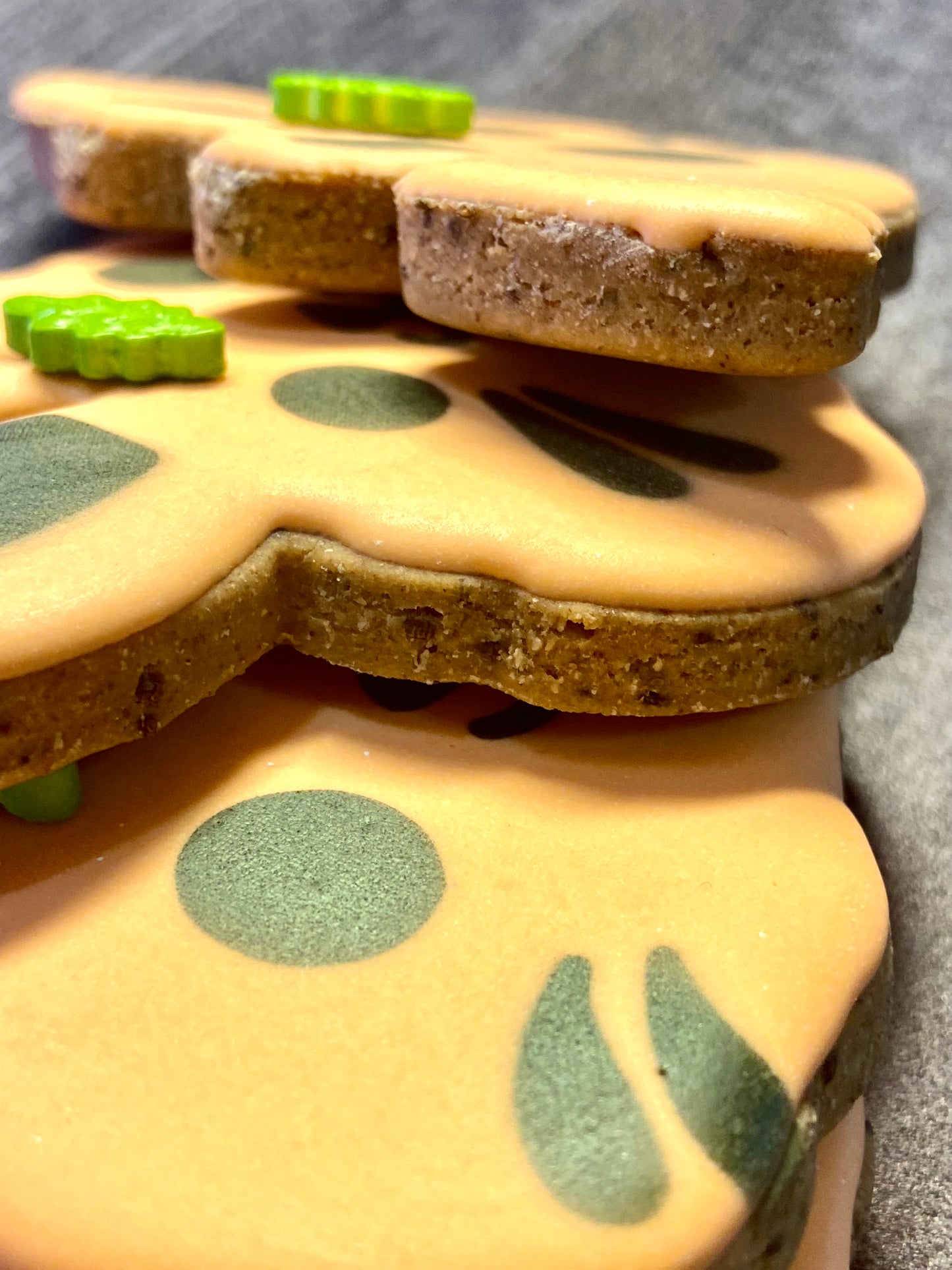 Pumpkin Critter Crew™" Canine Cookie Gift Set 🎃🦊