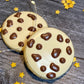 "Chocolate Chip Tookie" Canine Cookie Gift Set