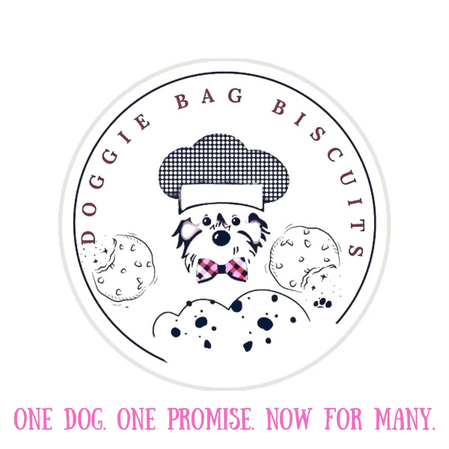 “Barkday Bash Box" Gift Set Certified Lookie-a-Tookie™ Canine Cookies, Birthday Dog Treats