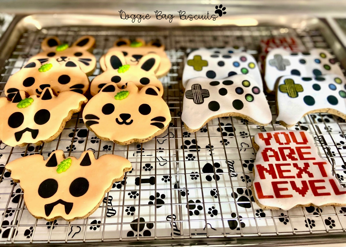 High Score Howl Canine Cookie Gift Set 🎮