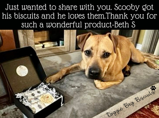 “Doggie Bag Bones" Gift Sets Certified Lookie-a-Tookie™ Canine Cookies, Bone Dog Treats 🦴