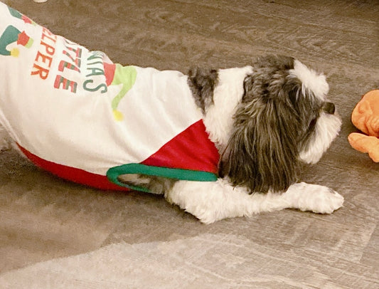 Santa’s Favorite Elf™ Canine Cookie Gift Set 🧝🎄🐾