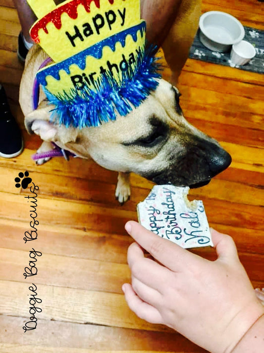 “Slice Slice Baby" Gift Sets Certified Lookie-a-Tookie™ Canine Cookies, Birthday Dog Treats 🎂🎉🐾