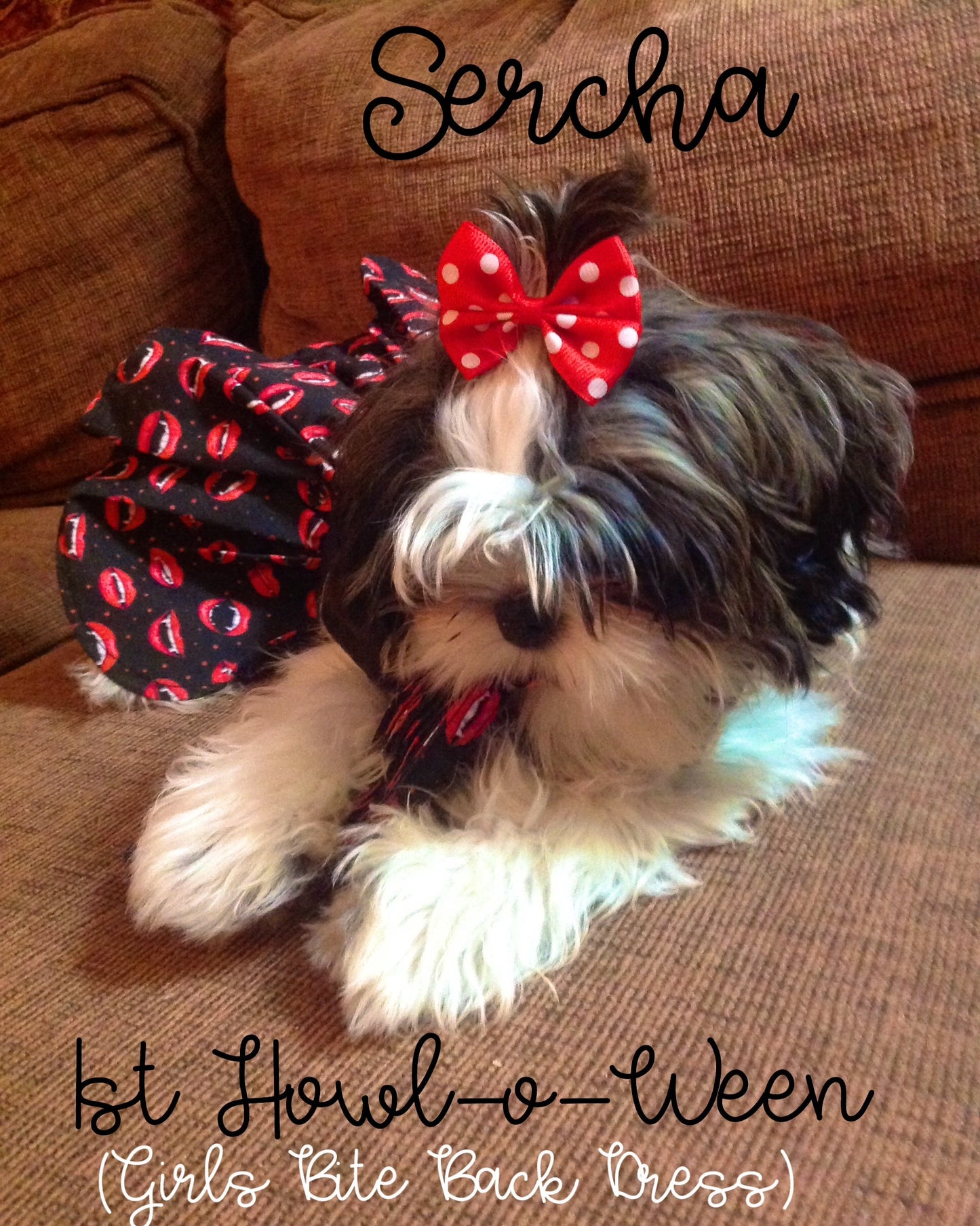 “Trick or Treat” Canine Cookie Gift Set