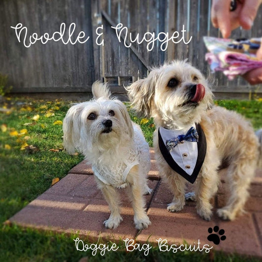 “Wonderful Wedding" Gift Sets Certified Lookie-a-Tookie™ Canine Cookies, Wedding Dog Treats 💍💒