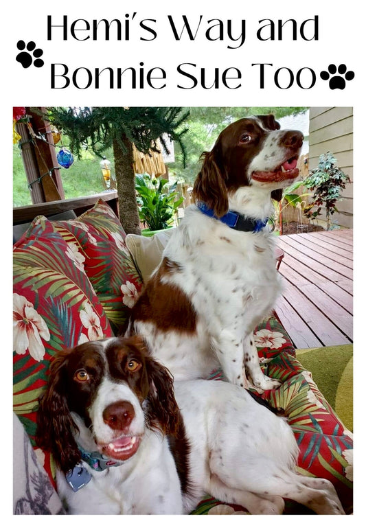 “Go Get ’Em Tiger" Gift Set Certified Lookie-a-Tookie™ Canine Cookies, Tiger Dog Treats 🐅🐾