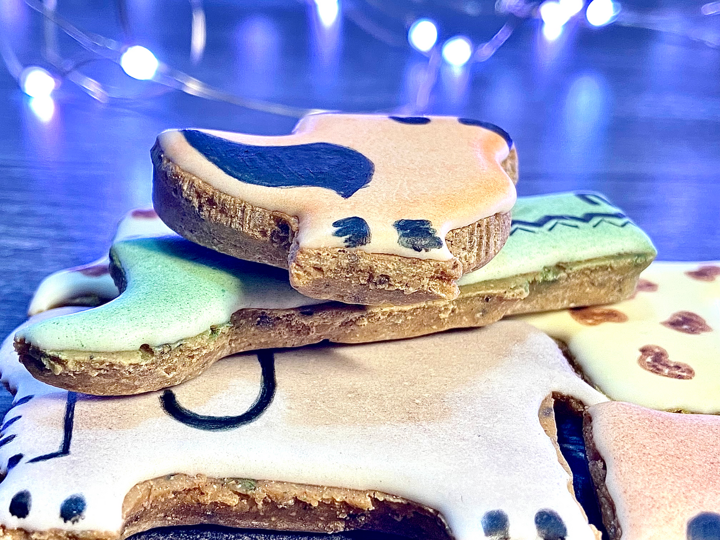 Noah’s Bark Puzzle Canine Cookie Gift Set🦒🐘🦜🌧️