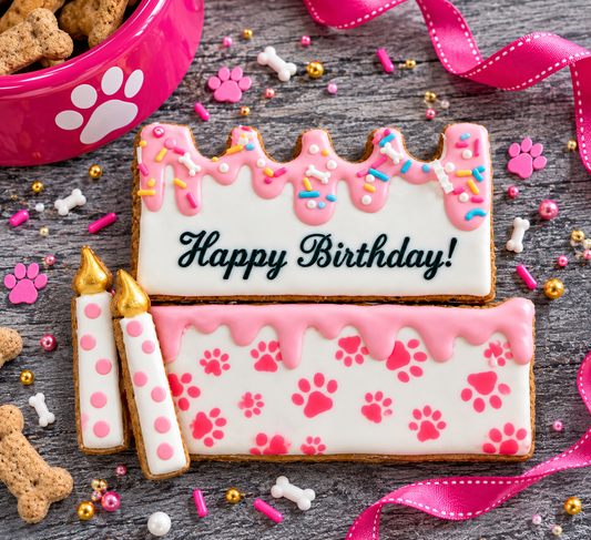 "Big Bash" Canine Cookie Birthday Gift Set 🎂🐾