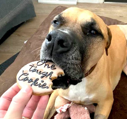 Custom Order Request for Canine Cookies   🐾🍪