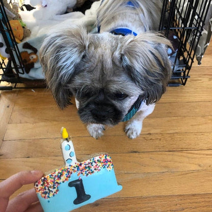 “Cake and Candle” Canine Cookie Gift Set 🎂✨🐾