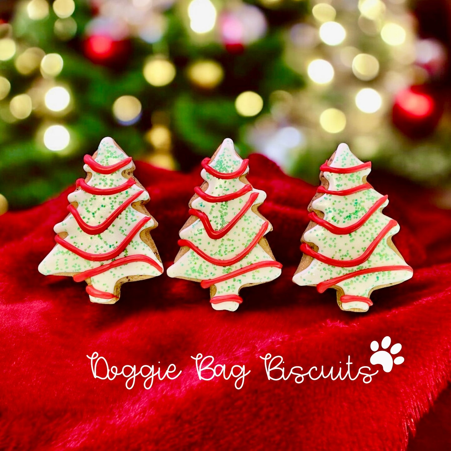 "OH CHRISTMAS TREAT" Gift Set Certified Lookie-a-Tookie™ Canine Cookies, Christmas Dog Treats