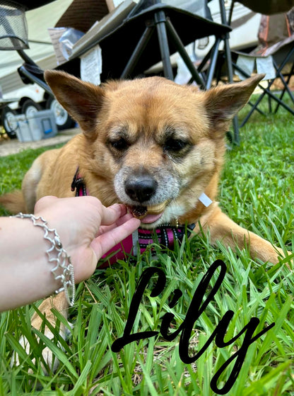 Custom Canine Cookie Order Request