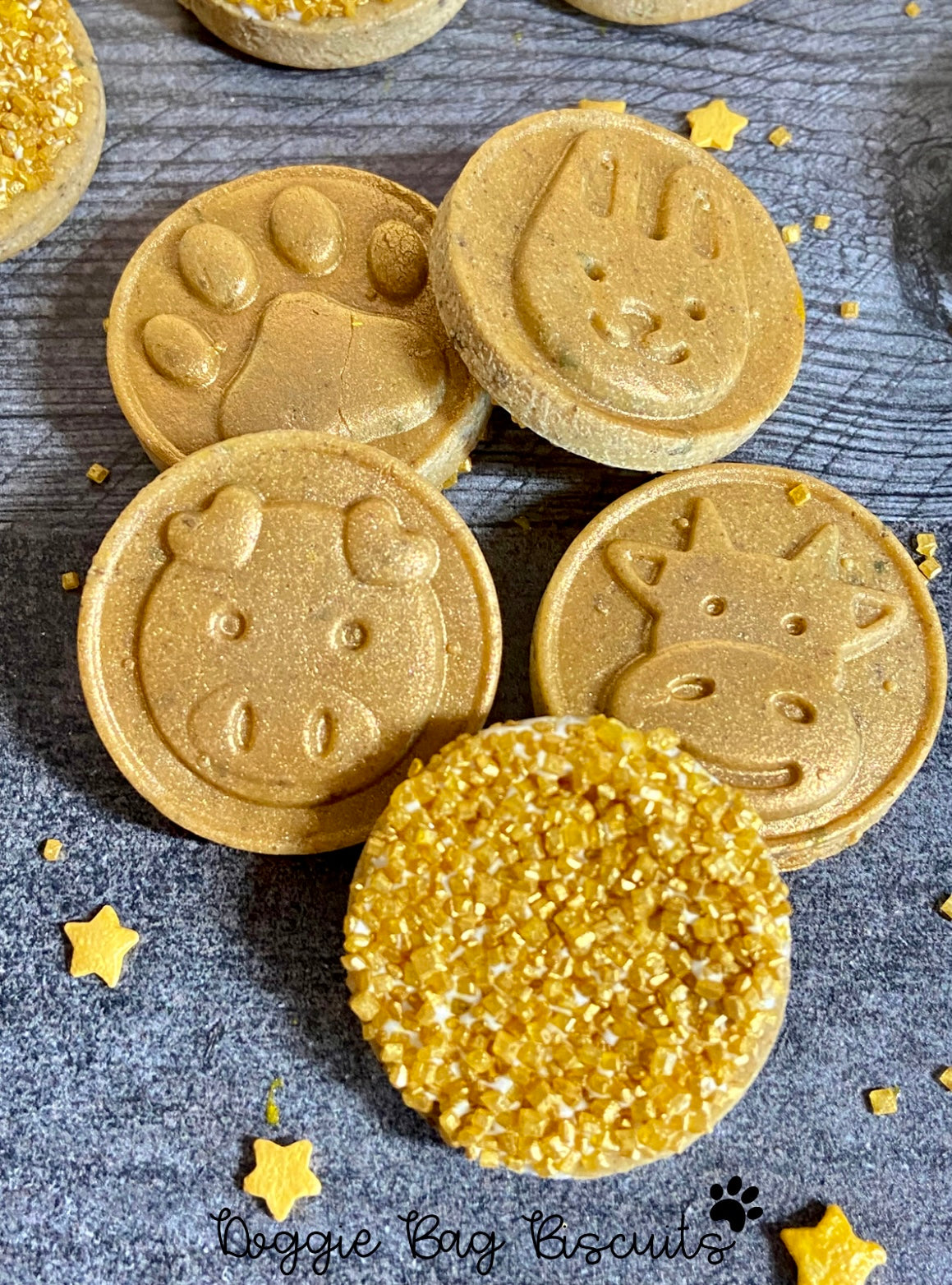 “Canine Coins” Canine Cookie Gift Set