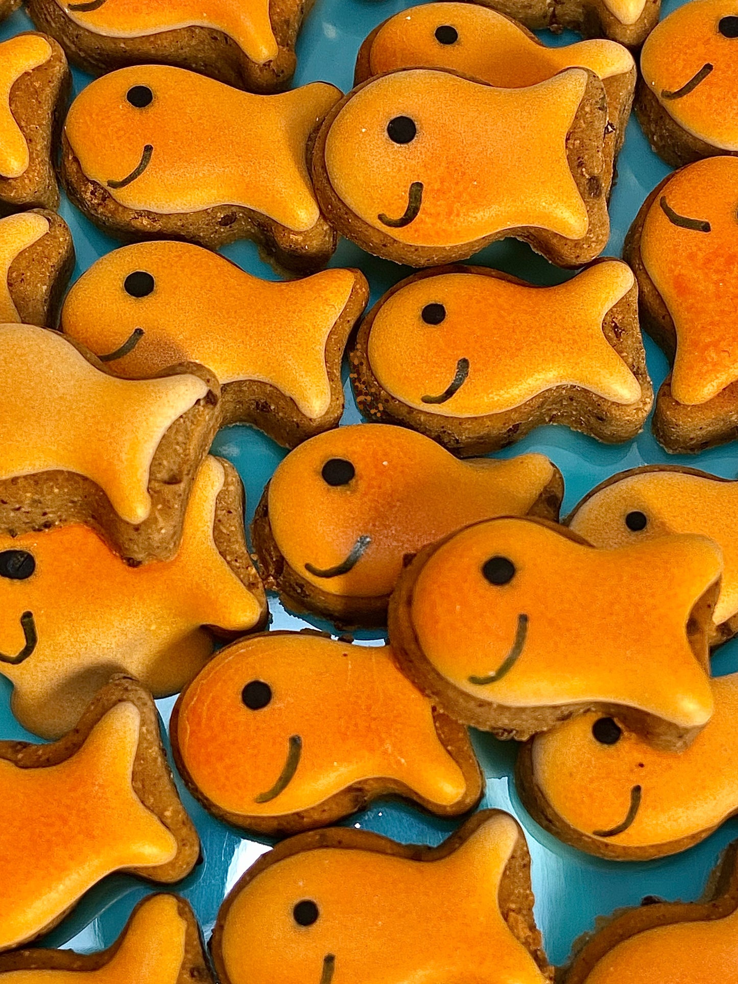 Go Fish Canine Cookie Gift Set🧡🐟
