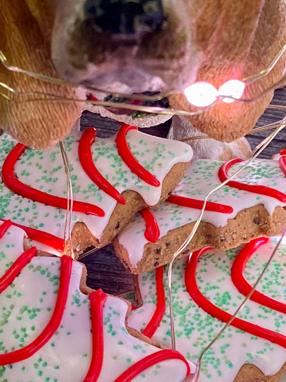 "OH CHRISTMAS TREAT" Gift Set Certified Lookie-a-Tookie™ Canine Cookies, Christmas Dog Treats