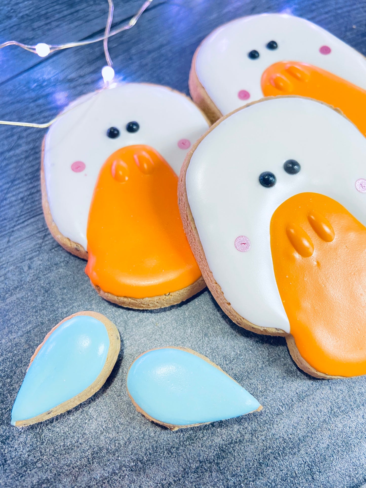 Puddle the Duck™ Canine Cookie Gift Set 🦆🐾