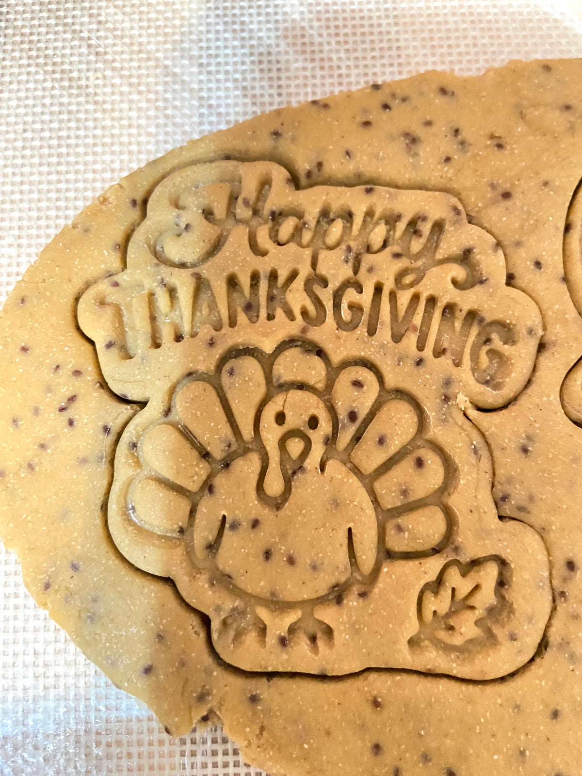 "Turkey Day Tookies" Canine Cookie Box Gift Set 🦃🐾