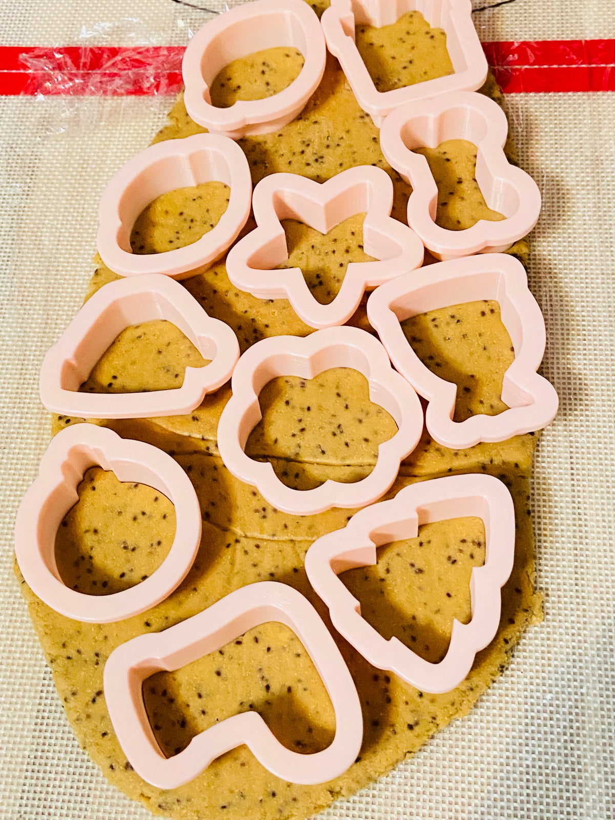 HAPPY PAWLIDAYS! 🎄 12-Day Canine Cookie Advent Calendar