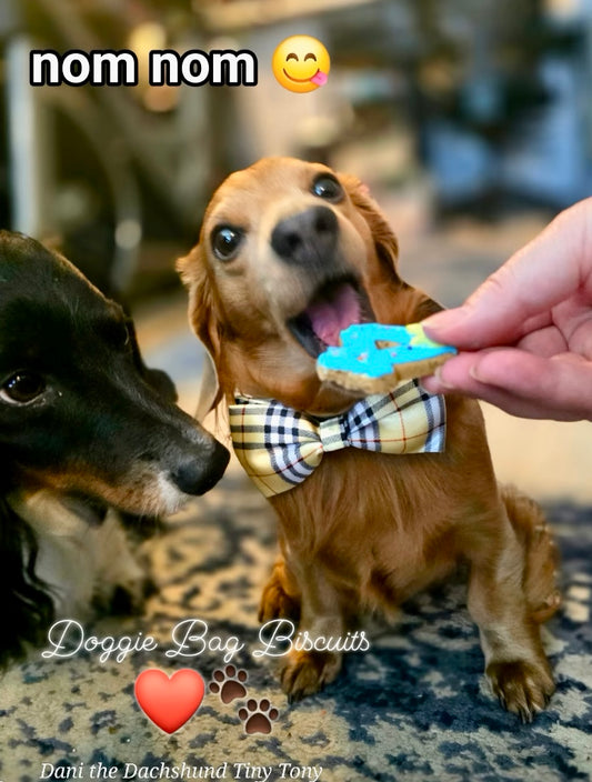 “Barkday Bash Box – Birthday Vegan Dog Cookie Gift Set | Certified, Made with Organic Ingredients, Diabetic-Friendly, Grain-Free, Wheat-Free & Gluten-Free” Gift Box