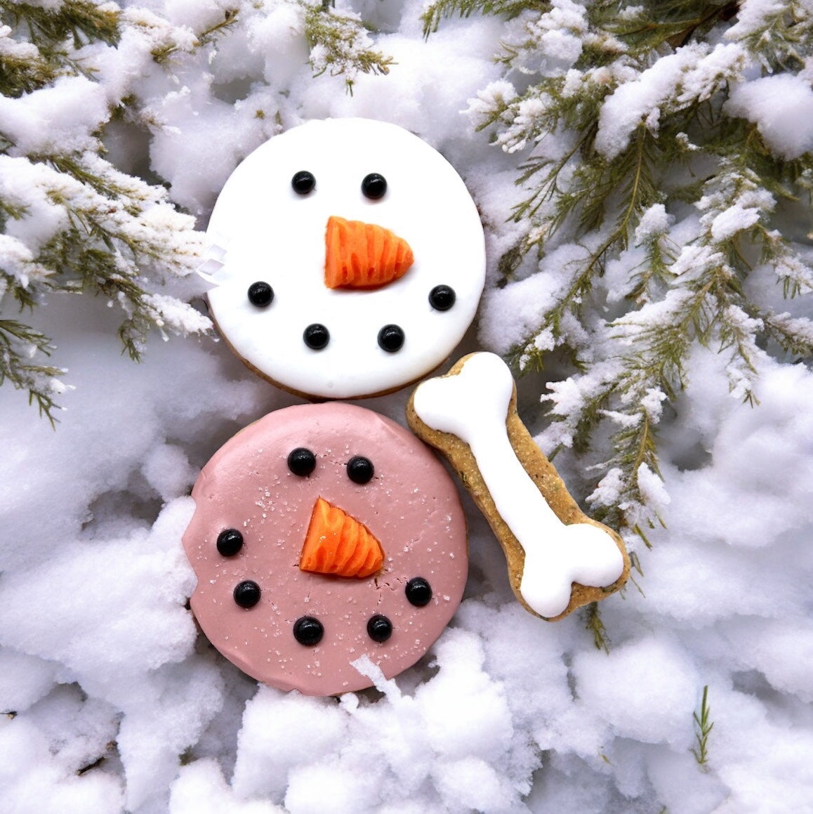 ”Silly Snowman” Canine Cookie Gift Set