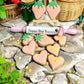 ”Sweetheart Berries” Canine Cookie Gift Set