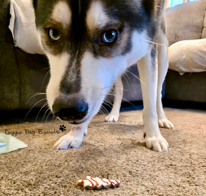 "OH CHRISTMAS TREAT" Gift Set Certified Lookie-a-Tookie™ Canine Cookies, Christmas Dog Treats