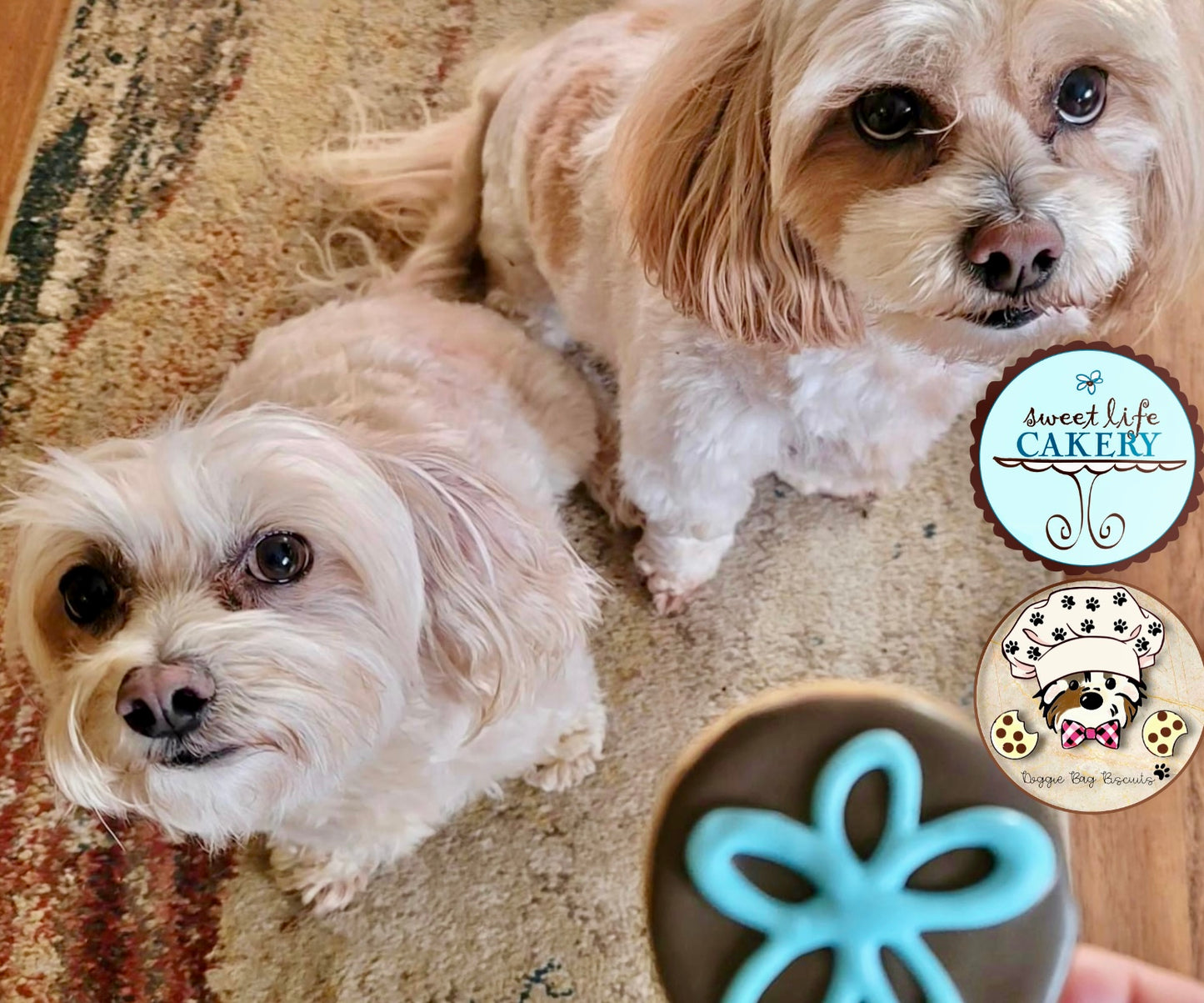 "BLISS" Sweet Life Cakery Gift Set — by Doggie Bag Biscuits™