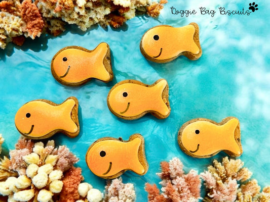 Go Fish Canine Cookie Gift Set🧡🐟