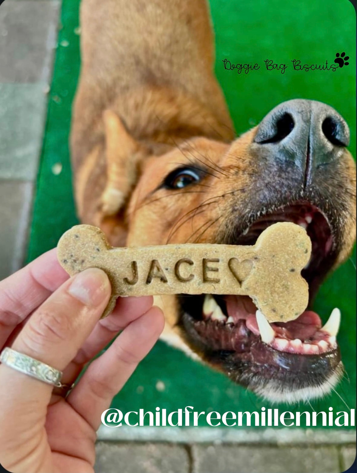 "Name & Nibble” Canine Cookie Gift Set