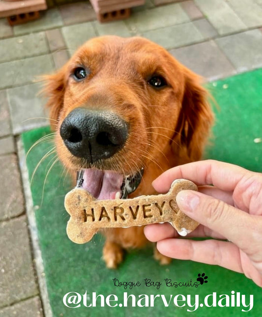 Name & Nibble™ Personalized Canine Cookie Gift Set ✒️🐾