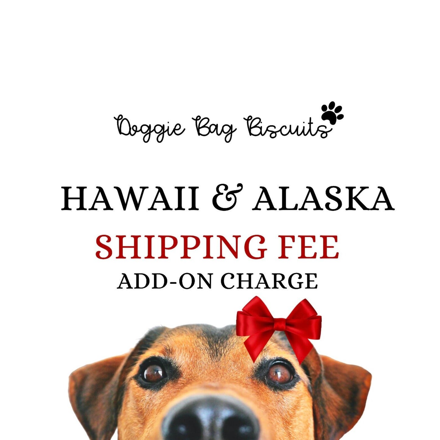 Hawaii & Alaska Shipping Fee Add-On