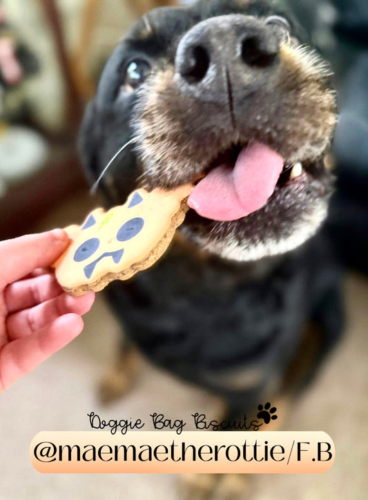 Pumpkin Critter Crew™" Canine Cookie Gift Set 🎃🦊