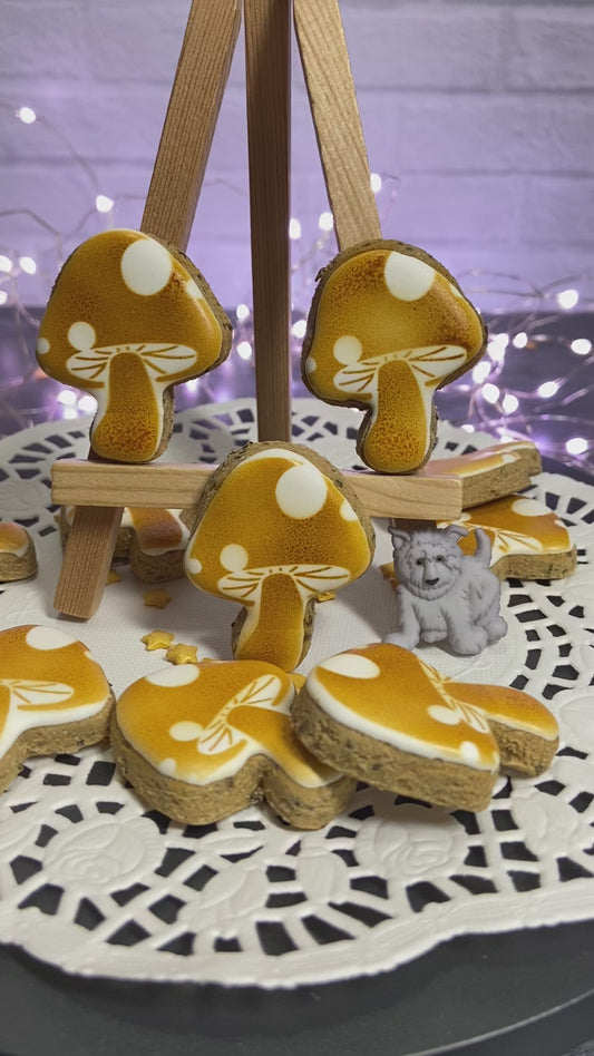 Myceli-YUM Canine Cookie Gift Set