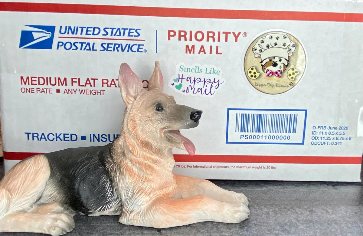 Rover Rush 🐶💨 | Expedite Your Canine Cookie Order