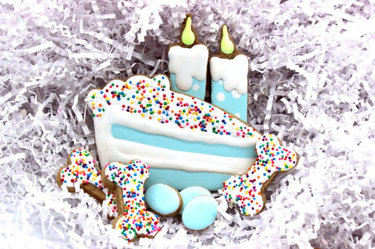 Slice Slice Baby Birthday Cake Canine Cookie Gift Set