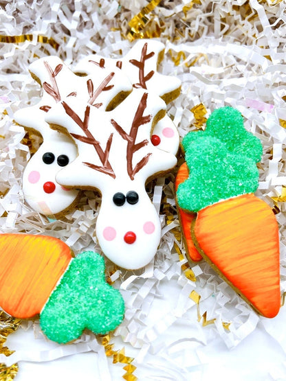 “Treats for Santa’s Team” Canine Cookie Gift Set 🦌🥕🎄🐾