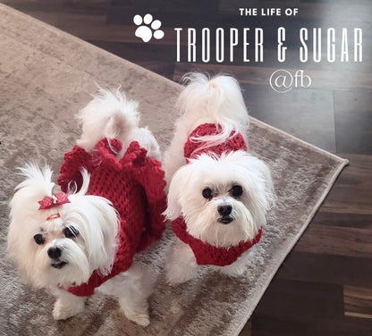 “Christmas Crew” Canine Cookie Gift Set 🎅  🎁 ⛄ 🍪