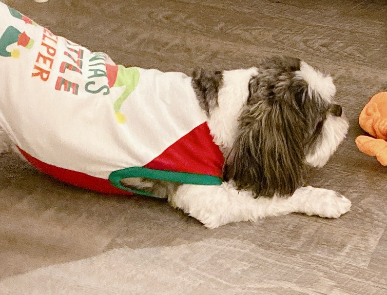 Santa’s Favorite Elf Canine Cookie Gift Set