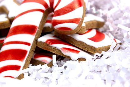 “Pretty Peppermint” Canine Cookie Gift Set 🍬🐾🎄