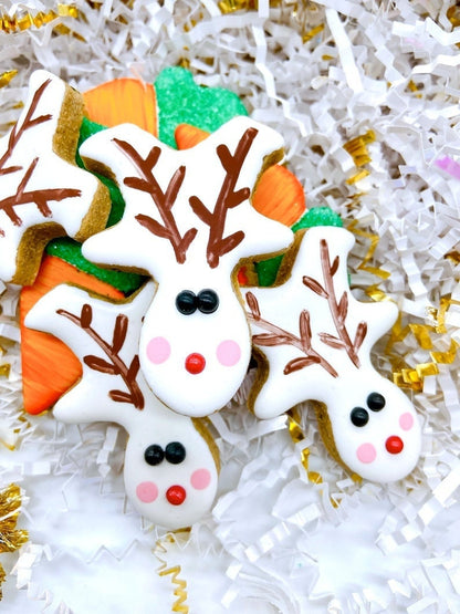 “Treats for Santa’s Team” Canine Cookie Gift Set 🦌🥕🎄🐾