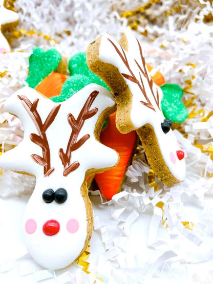 “Treats for Santa’s Team” Canine Cookie Gift Set 🦌🥕🎄🐾